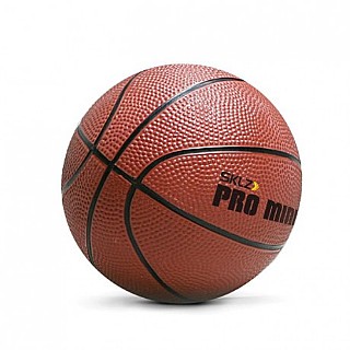 ������ ���� - PRO MINI HOOP BALL