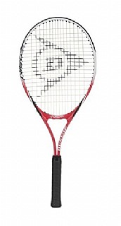 ���� ���� ������ DUNLOP 25